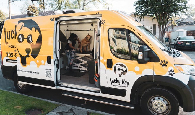groomvan groomvan